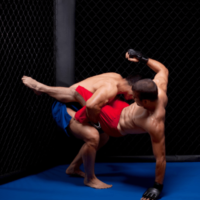 MIXED MARTIAL ARTS